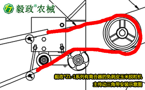 毅政牌ZL1系列有離合器的免剝皮玉米脫粒機(jī)，主傳動三角帶正確安裝